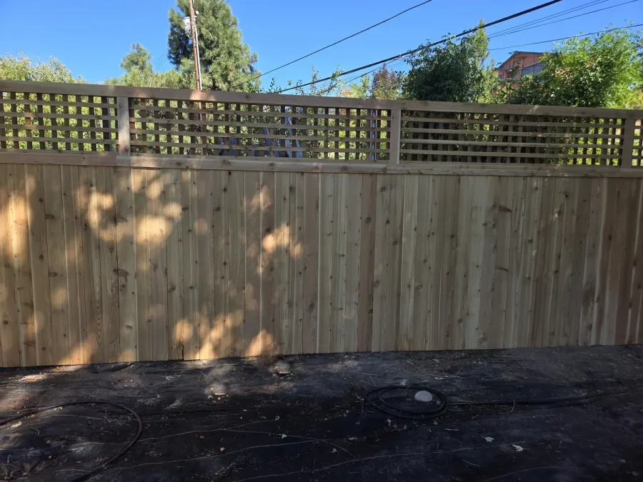 Cedar fence with a lattice topper in dappled afternoon shade at a Boise home