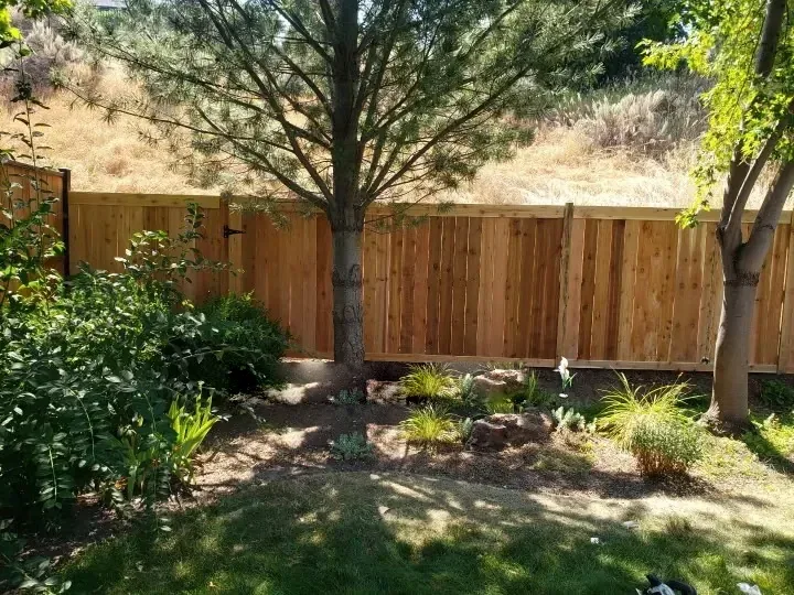 Picture frame cedar fence set behind mature landscaping at an Idaho home