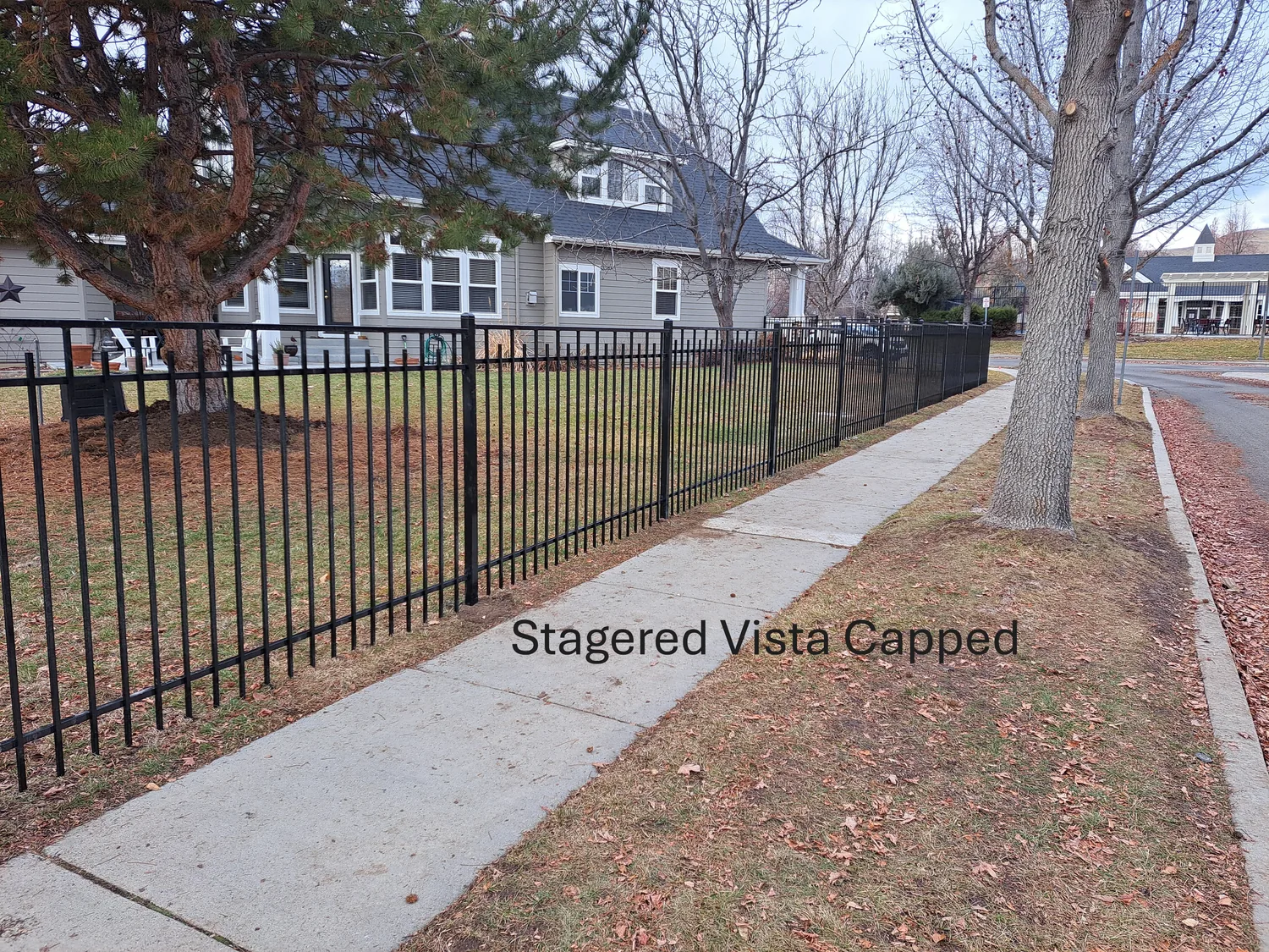 Staggered vista capped wrought iron fence along a tree lined Boise sidewalk